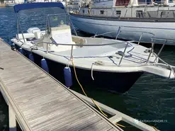 White Shark  215