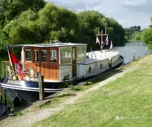 Piper  49