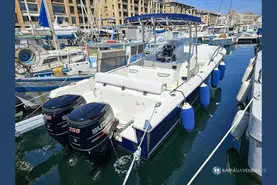 White Shark  285