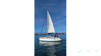 Wrighton Biloup 89