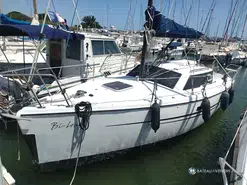 Wrighton Biloup 78