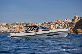 Salpa Soleil 52