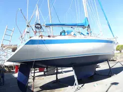Wauquiez Centurion 36