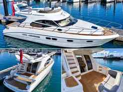 Sealine  F 42/5