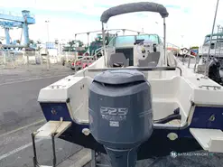 Kelt White Shark 236