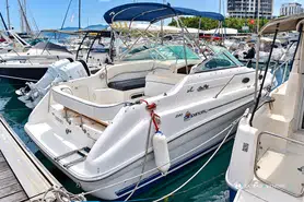 Sea Ray  240 Sundancer