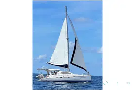 Leopard  43