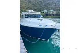 Tiara  43 Open