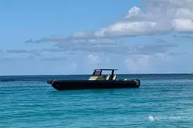 Rib SB39