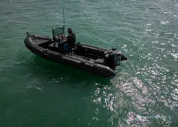 Tarpon DV 65