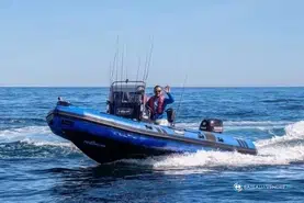Tarpon DV 60