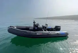 Tarpon AD 55
