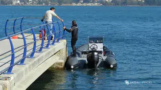 Tarpon AD 55