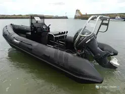 Tarpon AD 55
