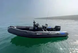 Tarpon AD 55
