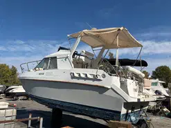 Yanmar EIDER MARINE SEA ROVER 8500 