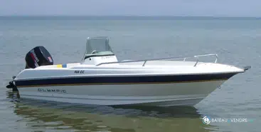 Olympic  Boat 460 CC