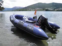 Tarpon AD 46