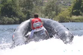 Tarpon AD 46