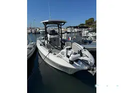 Wellcraft Fisherman 242