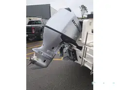 Ocqueteau Ostrea 600 Timonier