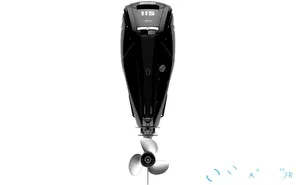 Mercury 115 CT
