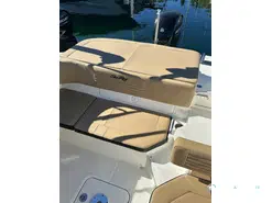 Sea Ray  190 SPX