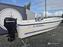 Quicksilver  500 Fish