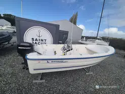 Quicksilver  500 Fish