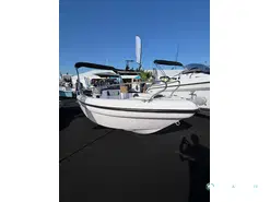 Ranieri Voyager 17