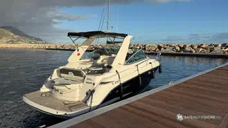 Monterey  295 Cruiser