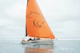 Saffier SE 28 Leopard