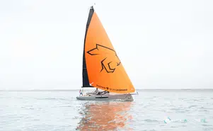 Saffier SE 28 Leopard