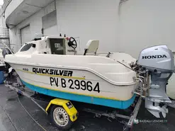 Quicksilver  430 Flamingo