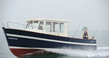 Rhea  730 Timonier
