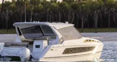 Aquila  36