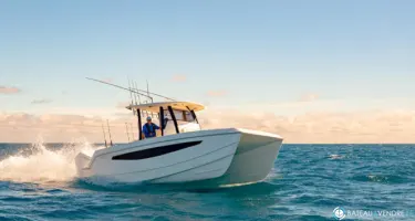 Aquila  28 Molokai