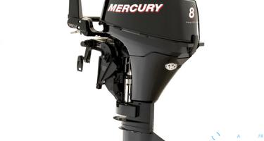 Mercury 8