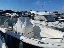 White Shark  205