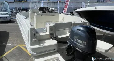 Pacific Craft  545 Trendy