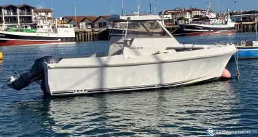 Sea Rover  590