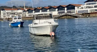 Sea Rover  590