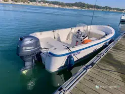 Quicksilver  500 Fish