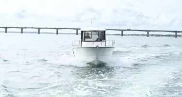 Ocqueteau Ostrea 710