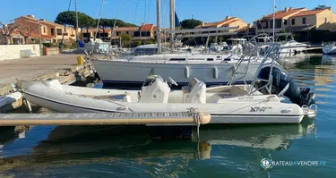 Black Fin Elegance 8