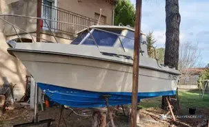 Guymarine GM 560