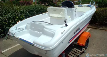 Ranieri Shark 17
