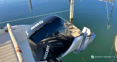 Ultramar Shaft 730 Fish