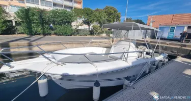 Kelt White Shark 226