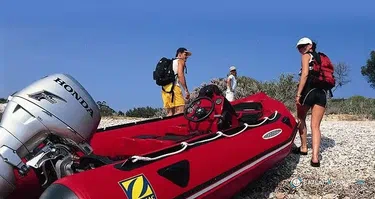 Zodiac Mark II Futura